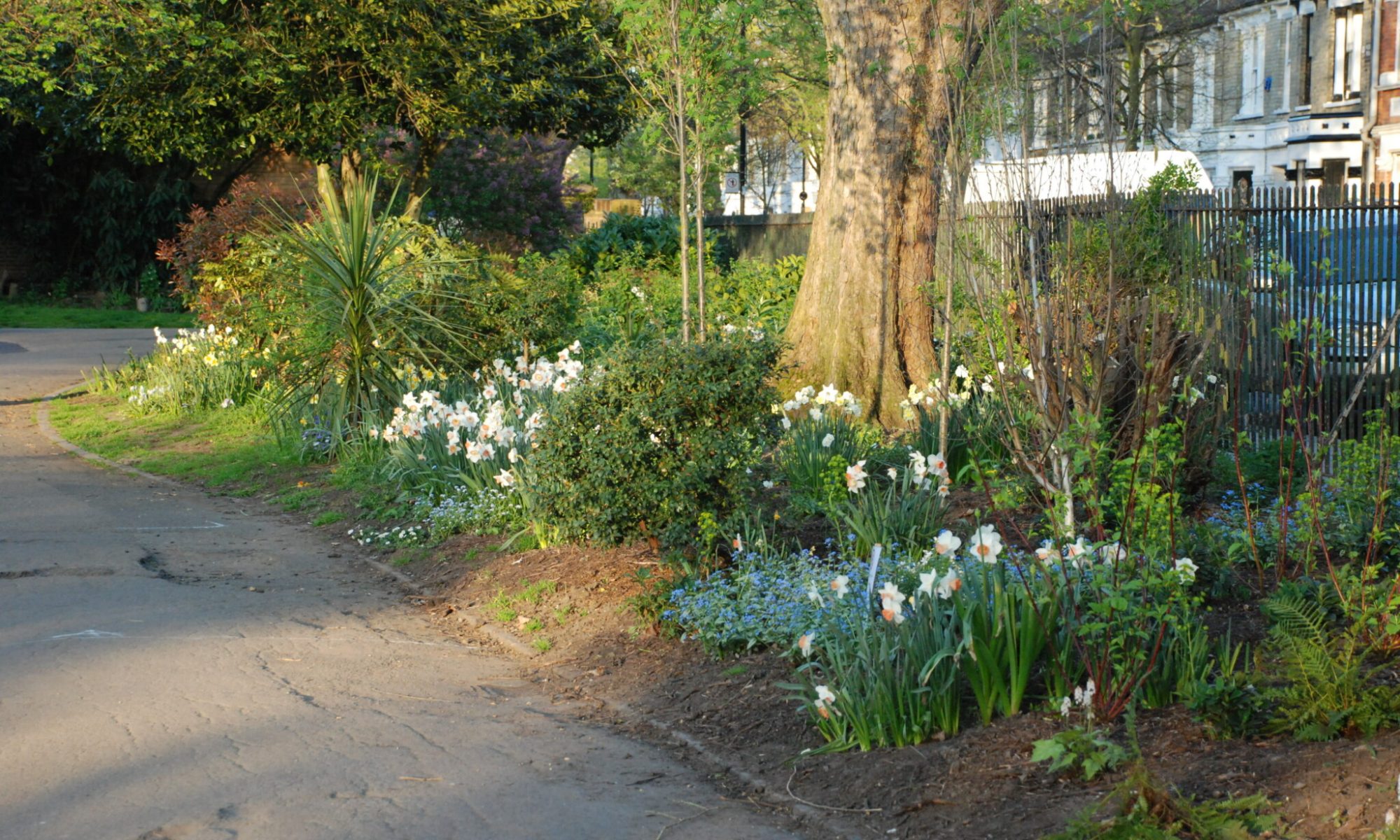 flower trim in wendell park