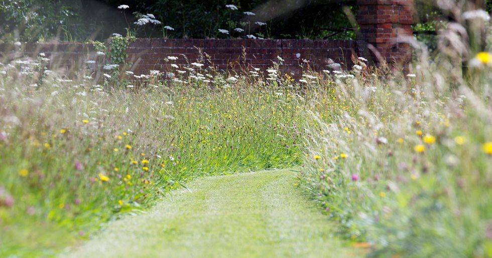 panorama spring flowers in wendell park