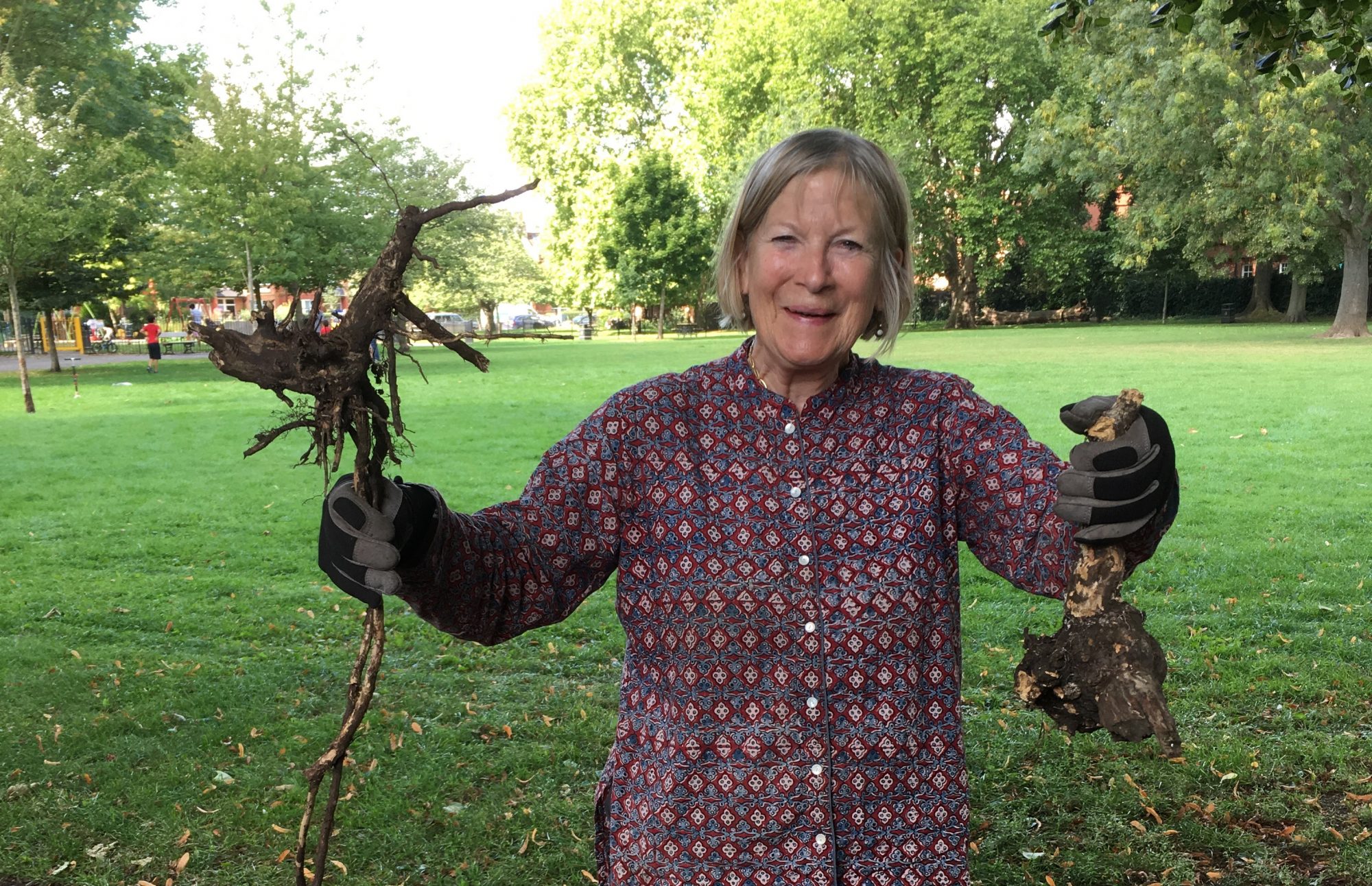 woman with sticks and branches in wendell park